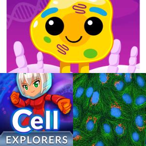 Ethereum: Create Formula inside array after filter app script google sheet
