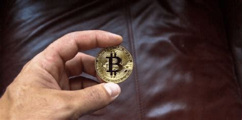 Whales: The Influence of